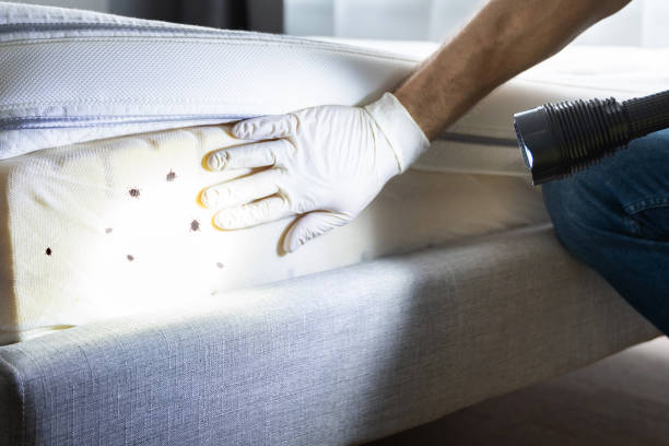 Best Pest Prevention Services  in Fort Bragg, CA