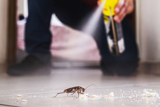 Best Residential Pest Control  in Fort Bragg, CA