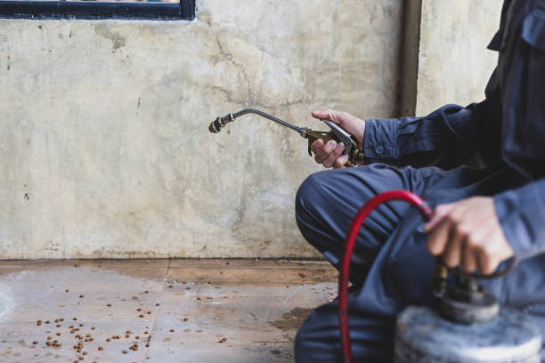 Pest Prevention Services in Fort Bragg, CA